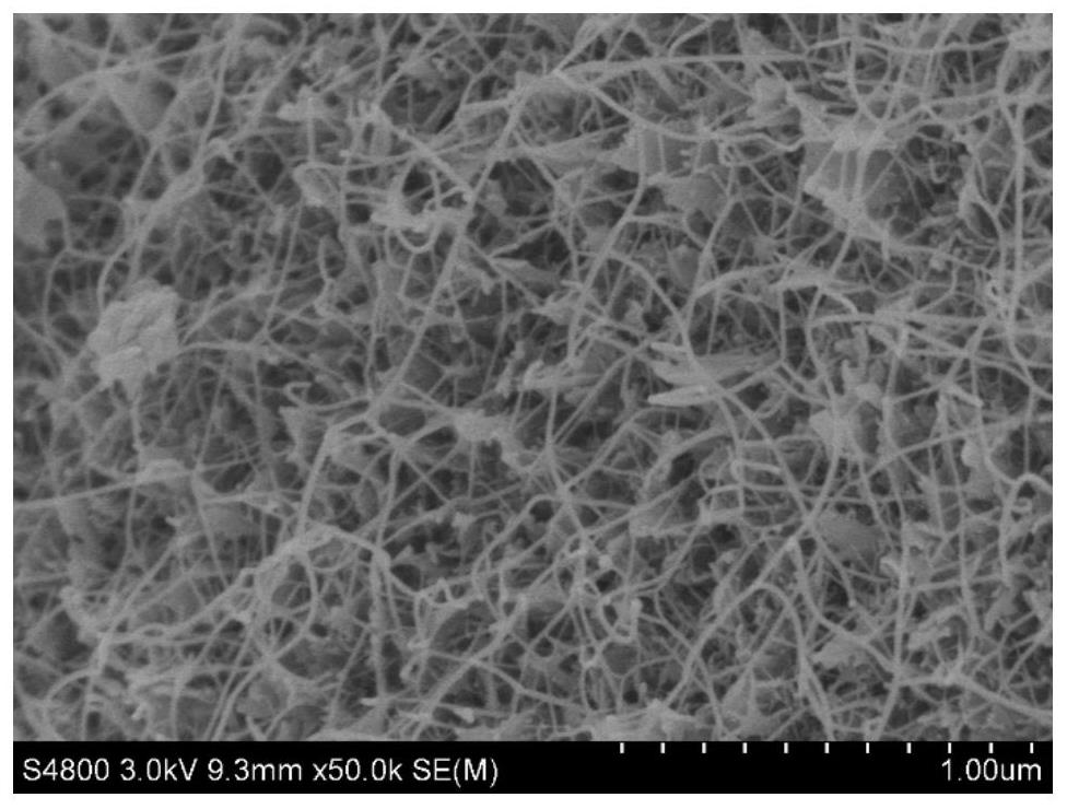 Small-diameter boron nitride nanotube and preparation method thereof