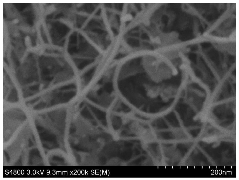 Small-diameter boron nitride nanotube and preparation method thereof