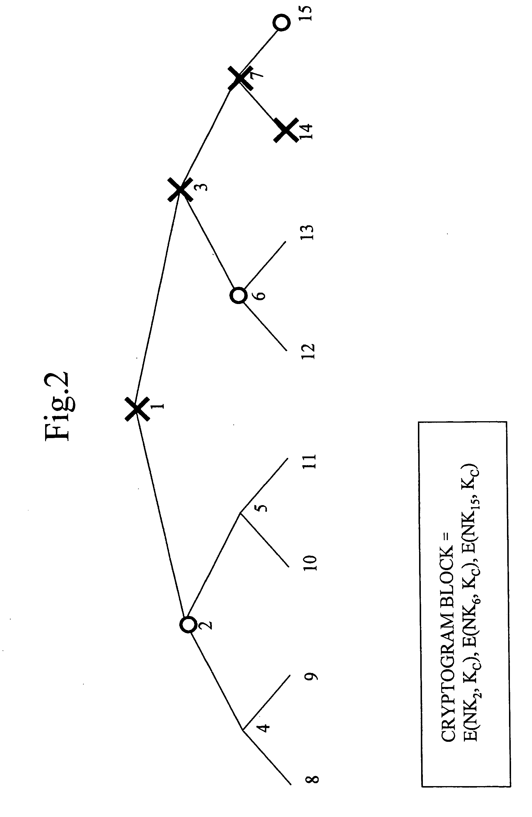 Information processing apparatus, information recording medium, information processing method and computer program