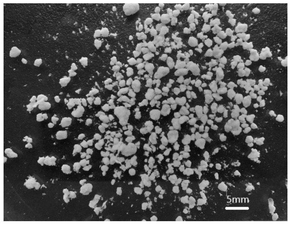 A method for accelerating the cultivation of aerobic granular sludge based on the method of increasing the concentration of nacl