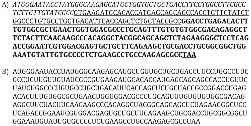 RNA encoding protein