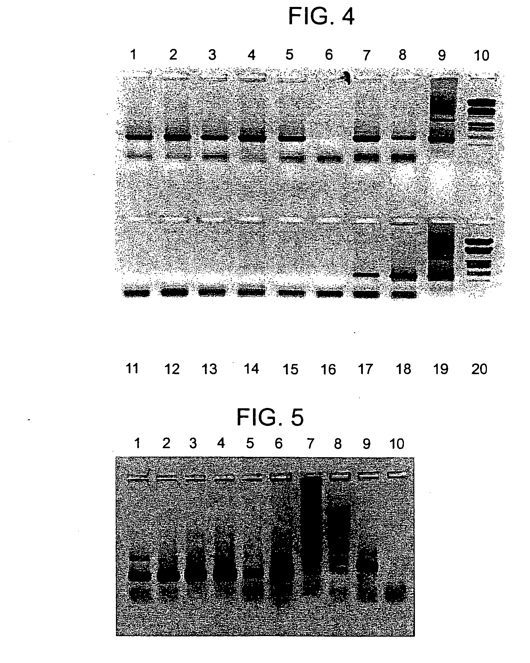 Lysin-deficient bacteriophages having reduced immunogenicity