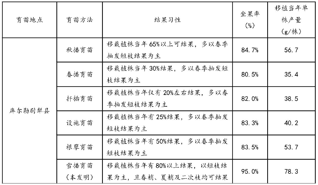 A method for raising seedlings of Heiqi No. 1 by snow sowing