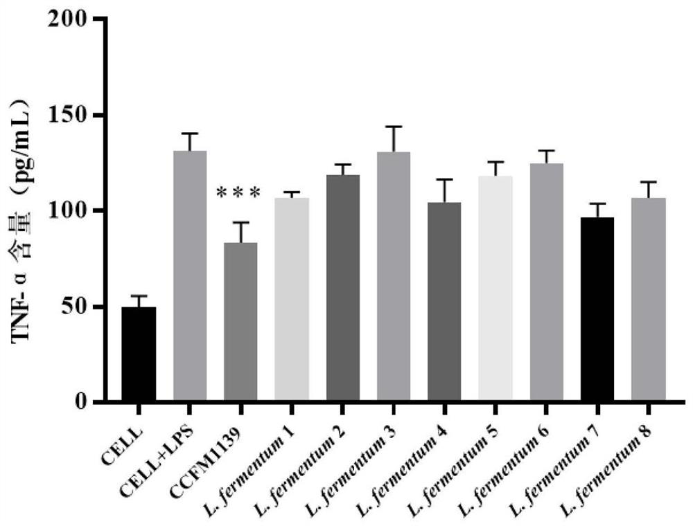 A strain of Lactobacillus fermentum capable of preventing and/or treating periodontitis and its application