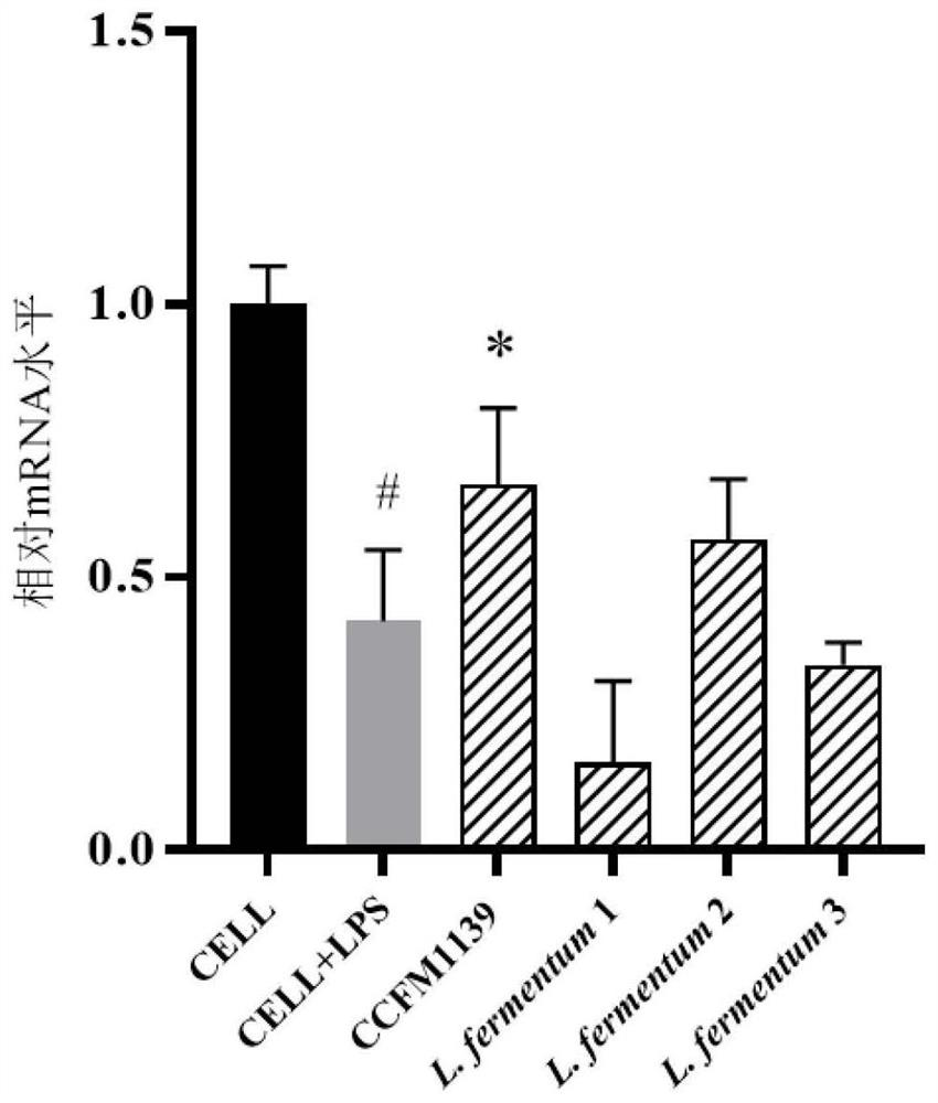 A strain of Lactobacillus fermentum capable of preventing and/or treating periodontitis and its application