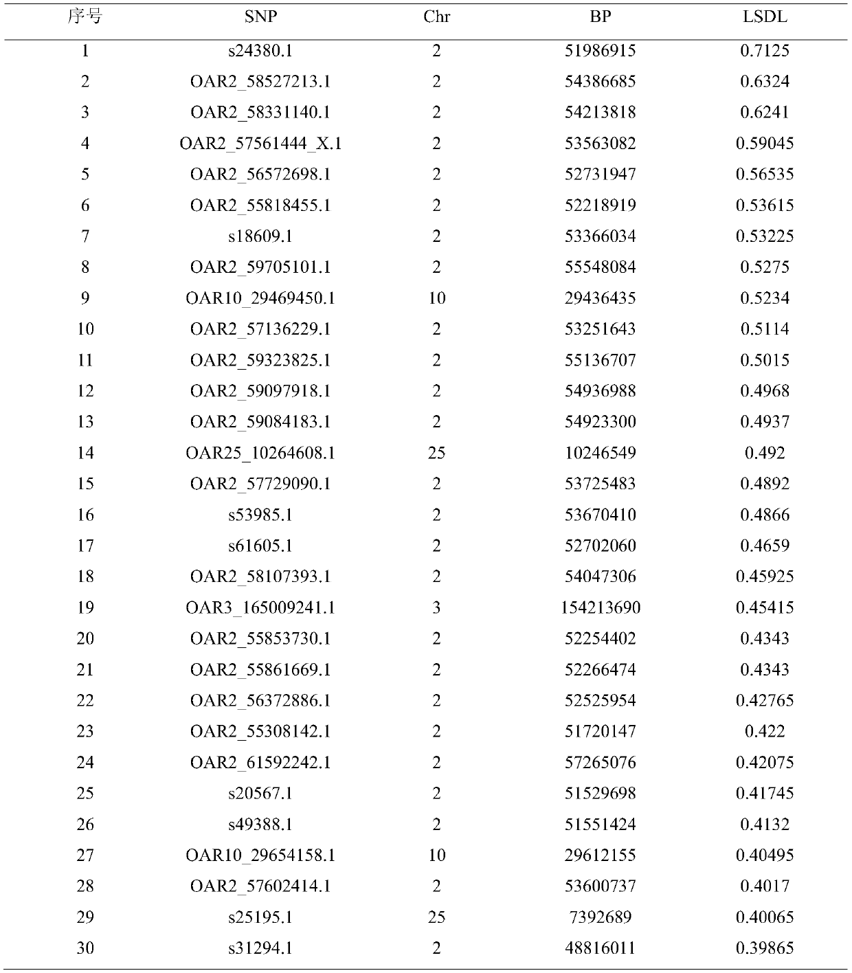 Duolang sheep SNP marker and its screening method and application