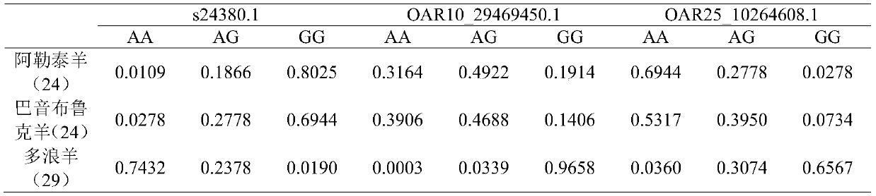 Duolang sheep SNP marker and its screening method and application