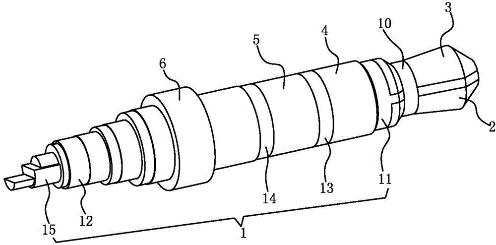 Five-pole plug