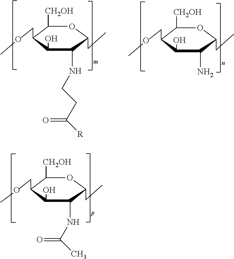 Chitosan acrylic acid derivative hemostatic powder