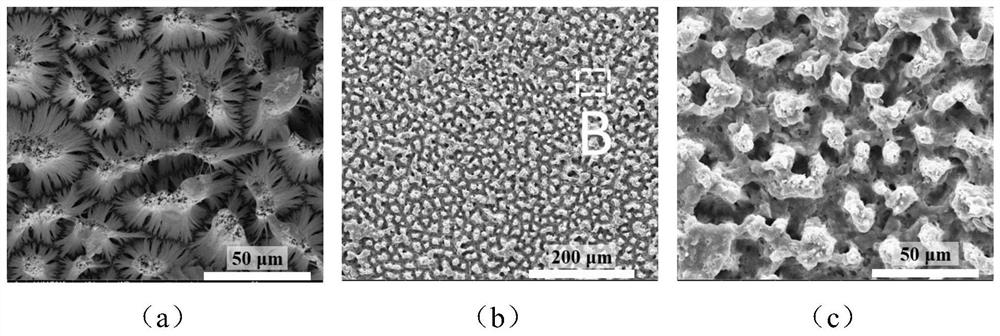 A kind of nanowire-fluorocarbon composite coating and preparation method thereof