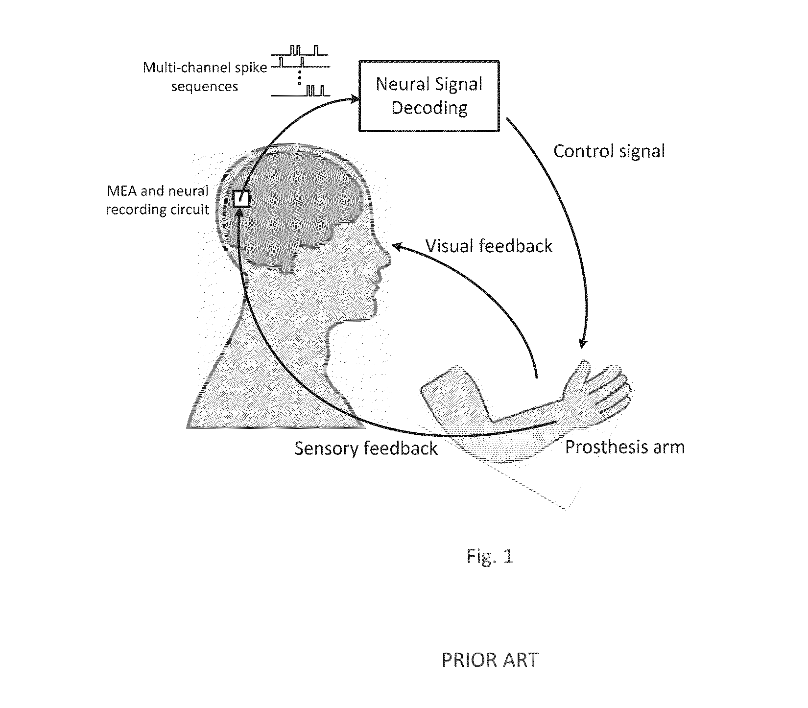 Systems and methods for classifying electrical signals