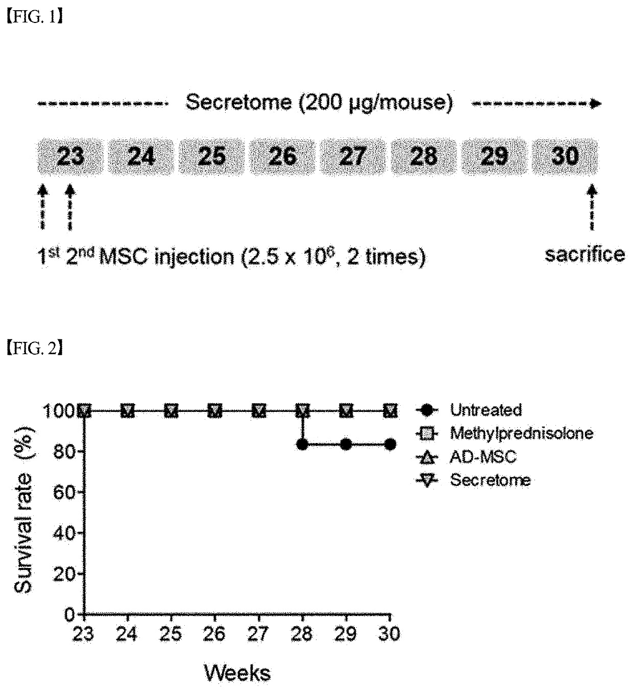 Pharmacological Composition for Prevention or Treatment of Lupus, Comprising Mesenchymal Stem Cell-Derived Secretome