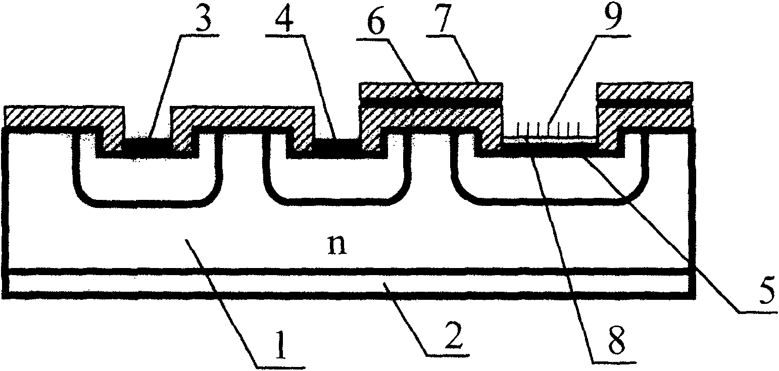 Panel display device with knot type field effect tube cathodic control array structure and its production technique