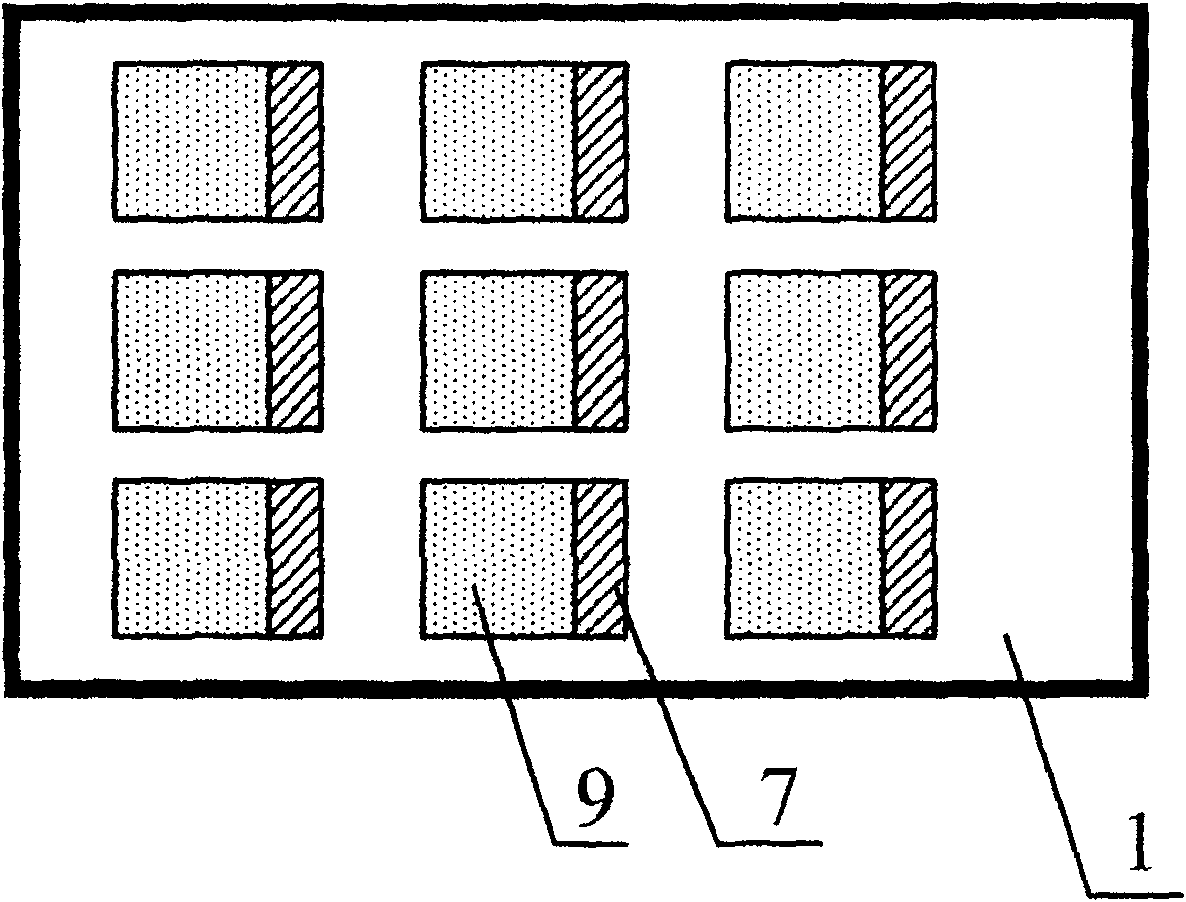 Panel display device with knot type field effect tube cathodic control array structure and its production technique