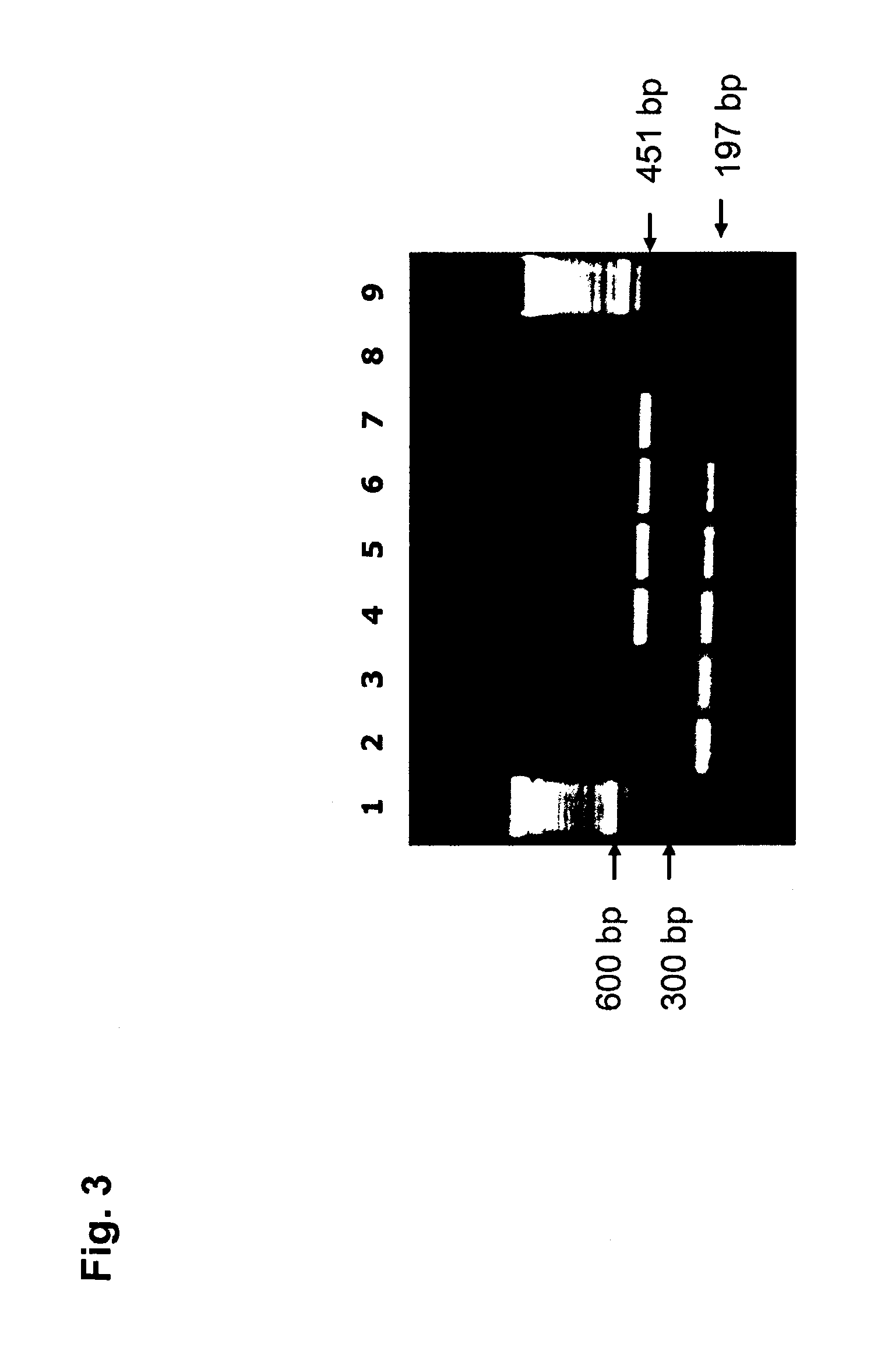 Insect resistant cotton plants and methods for identifying same