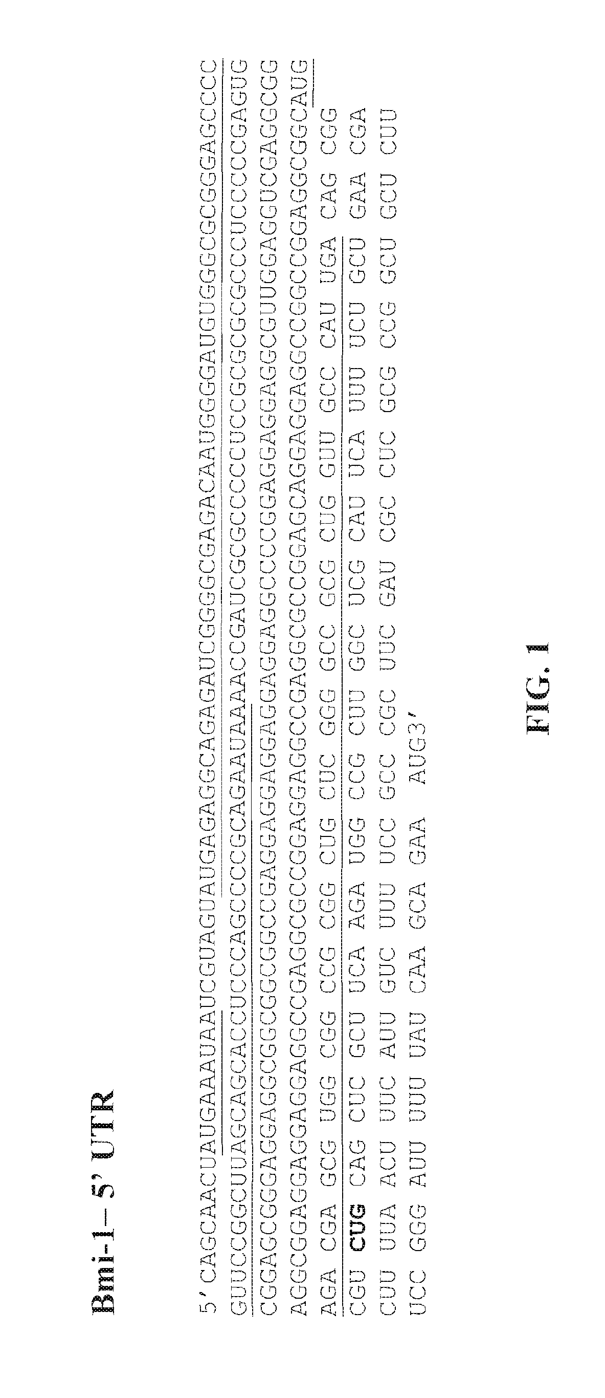 Methods for screening for compounds for treating cancer