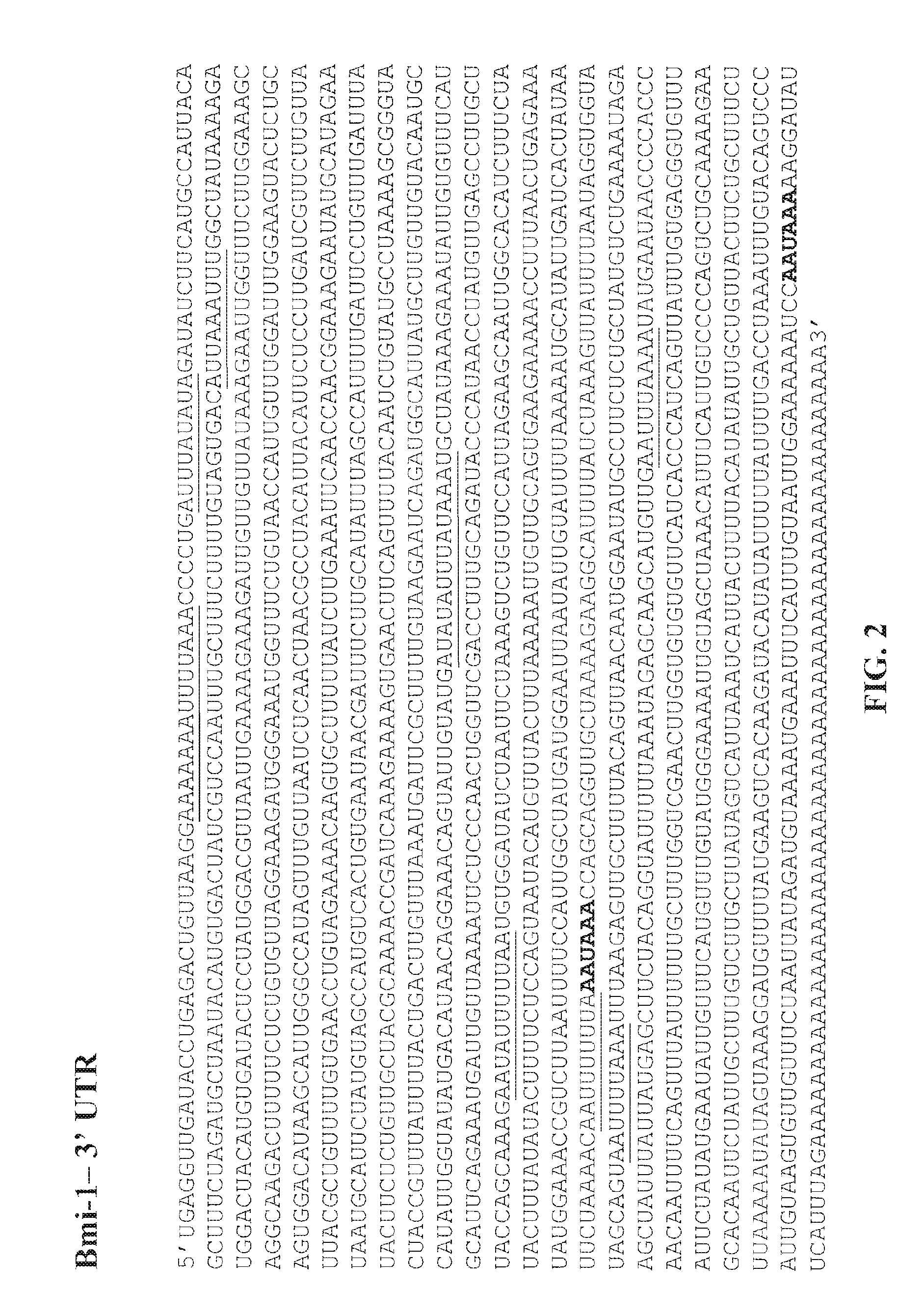 Methods for screening for compounds for treating cancer