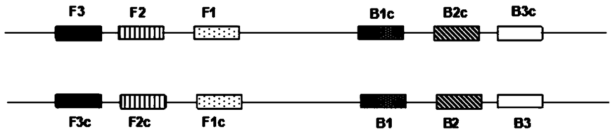 Detection primer set of cyp3a5 gene, reaction system and application thereof