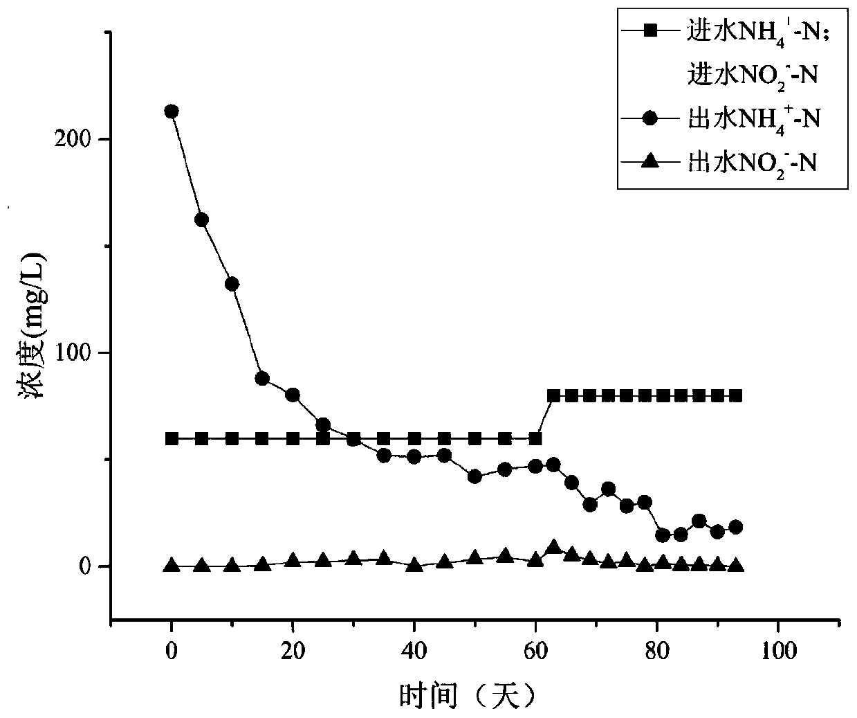 A kind of composite biological filler that promotes rapid start-up and stable operation of anaerobic ammonium oxidation and its preparation method and application