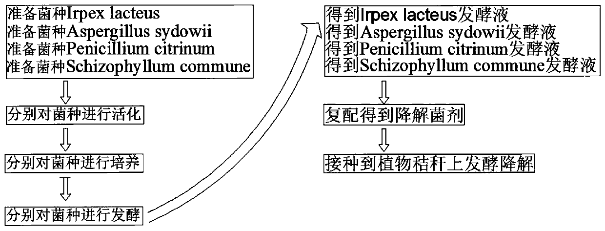 Preparation method and application of microbial straw degradation microbial agent