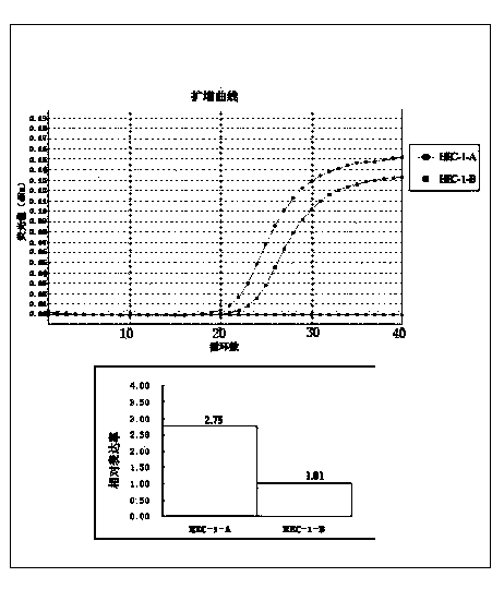 Application of cucurbitacin B and analogs thereof in preparation of drugs for treating endometrial cancer