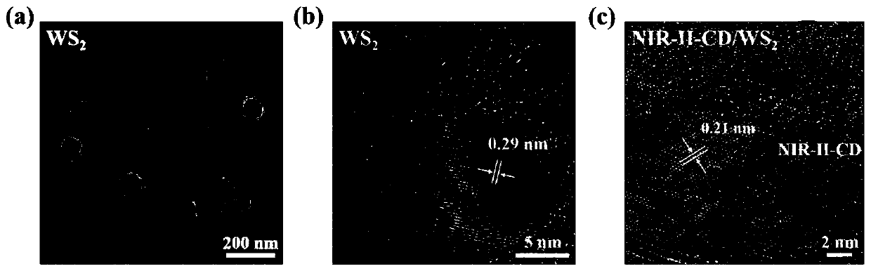 Heterojunction photo-thermal agent and preparing method and application thereof