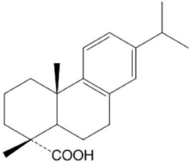 Composition comprising dehydroabietic acid and compound k for skin anti-aging