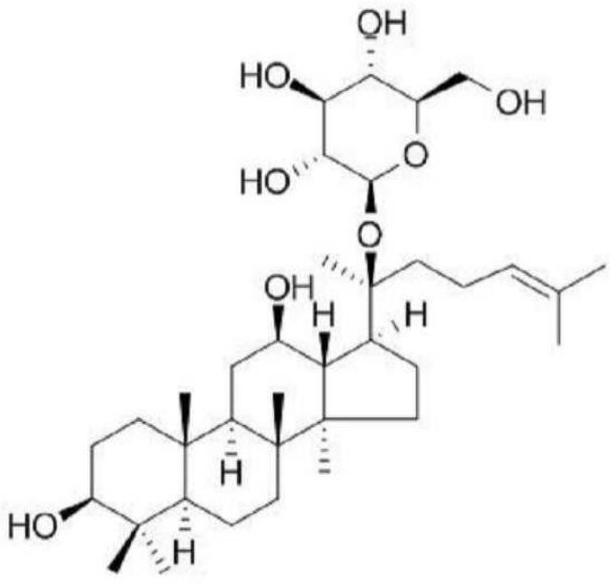 Composition comprising dehydroabietic acid and compound k for skin anti-aging