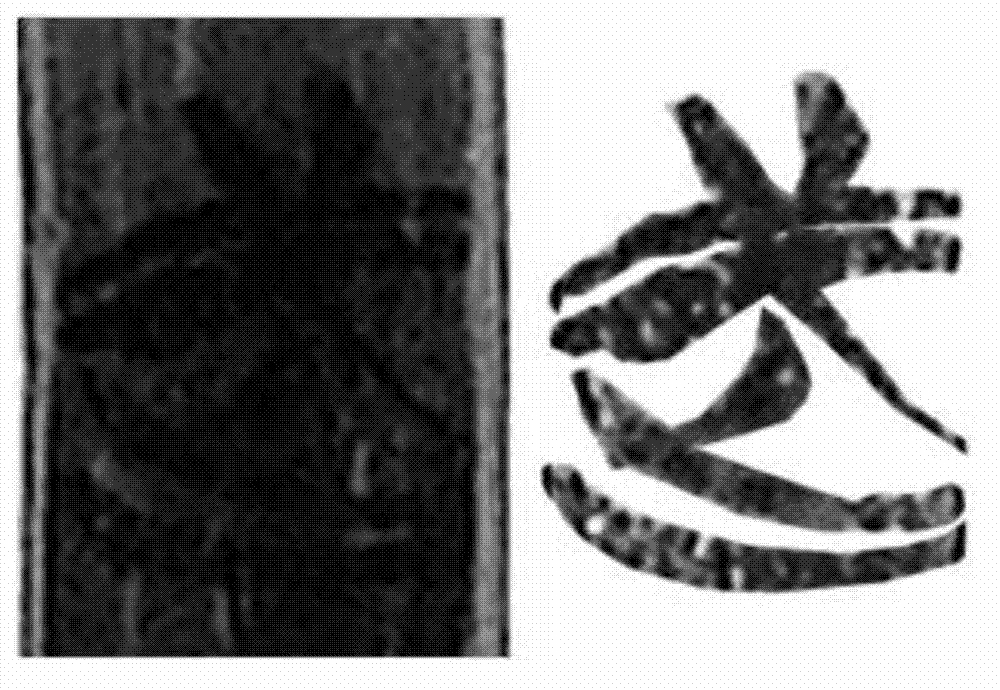 Method used for extracting unearthed bamboo slip and silk character pattern image and based on digital image processing