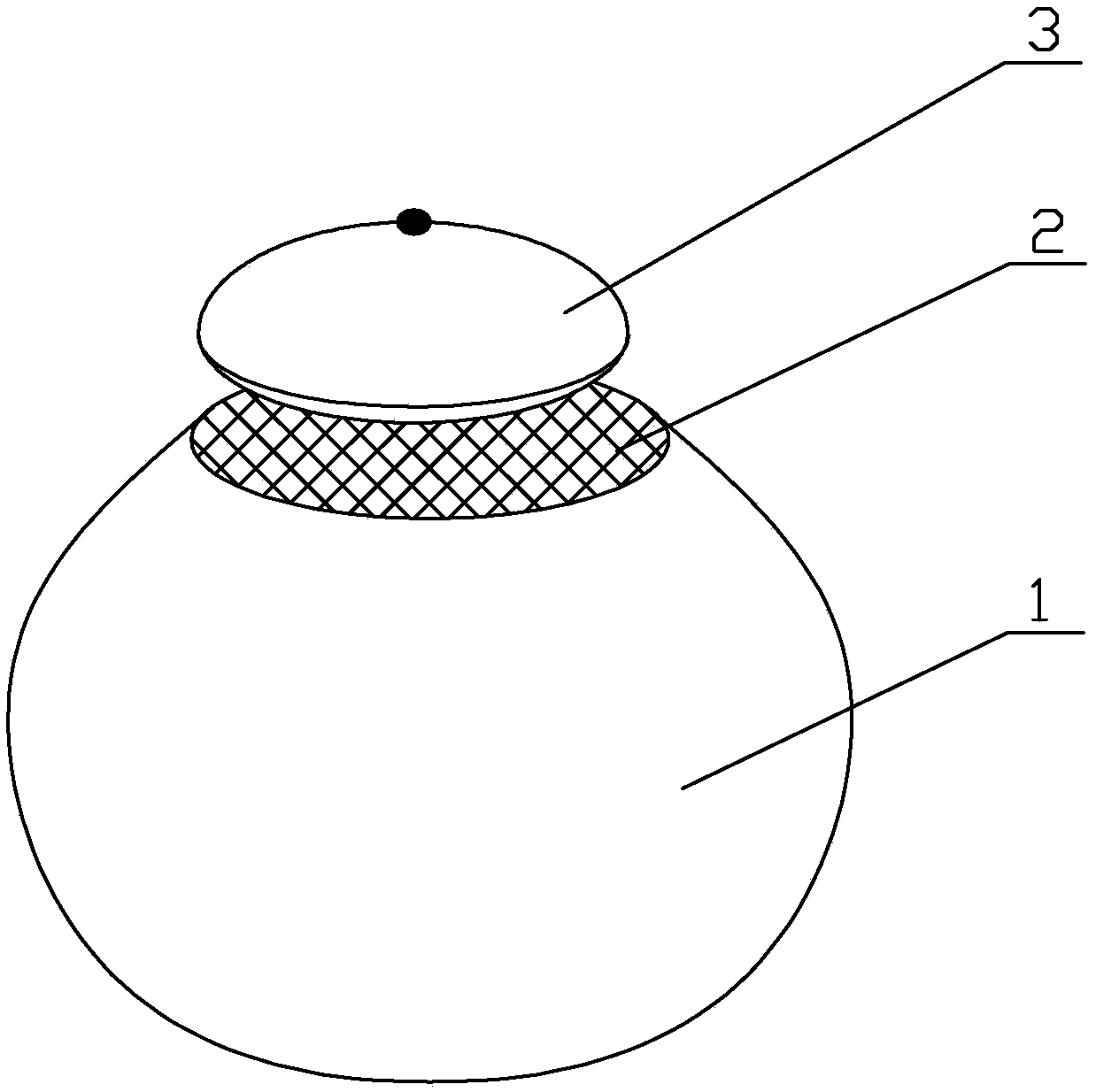 Dried orange peel cordyceps militaris soup parcel and preparation method thereof