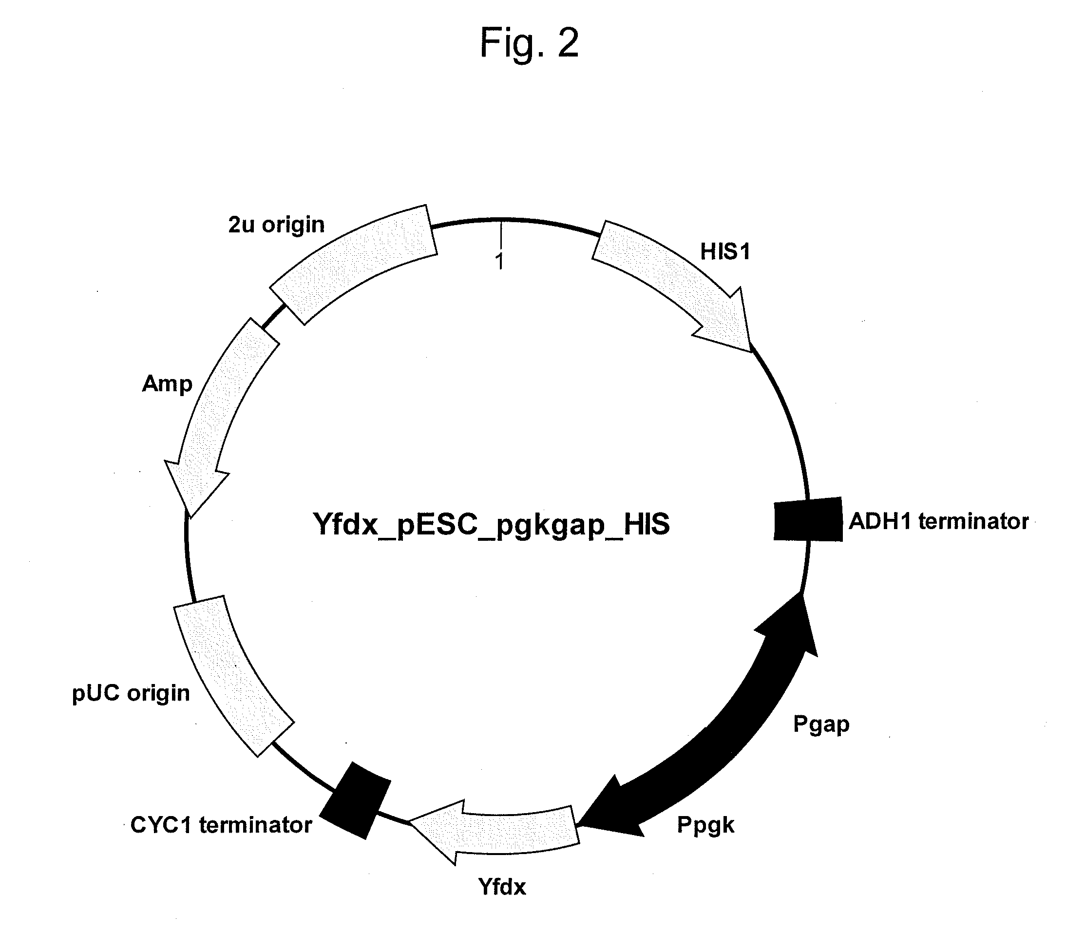 Method for producing alkane and recombinant microorganism capable of synthesizing alkane