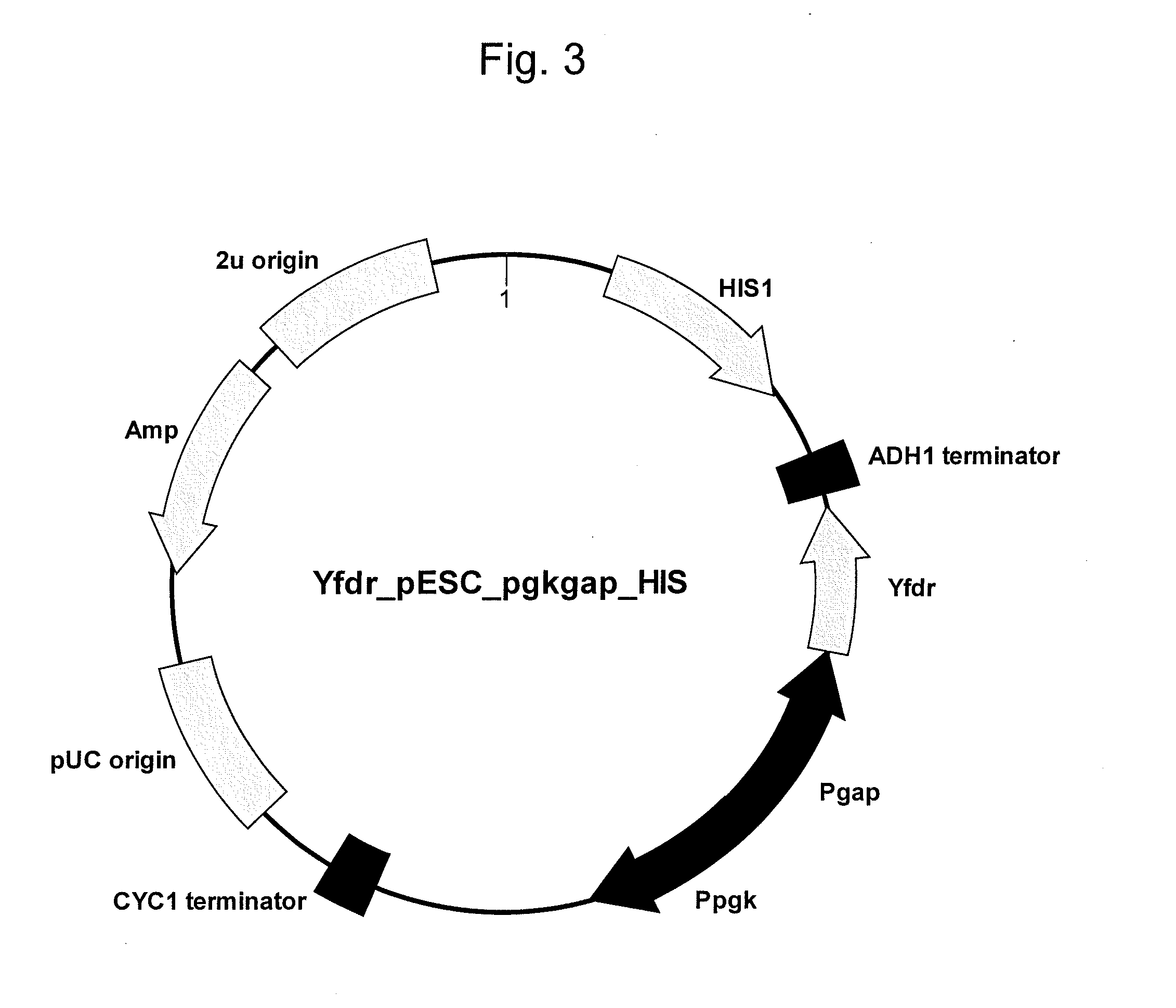 Method for producing alkane and recombinant microorganism capable of synthesizing alkane