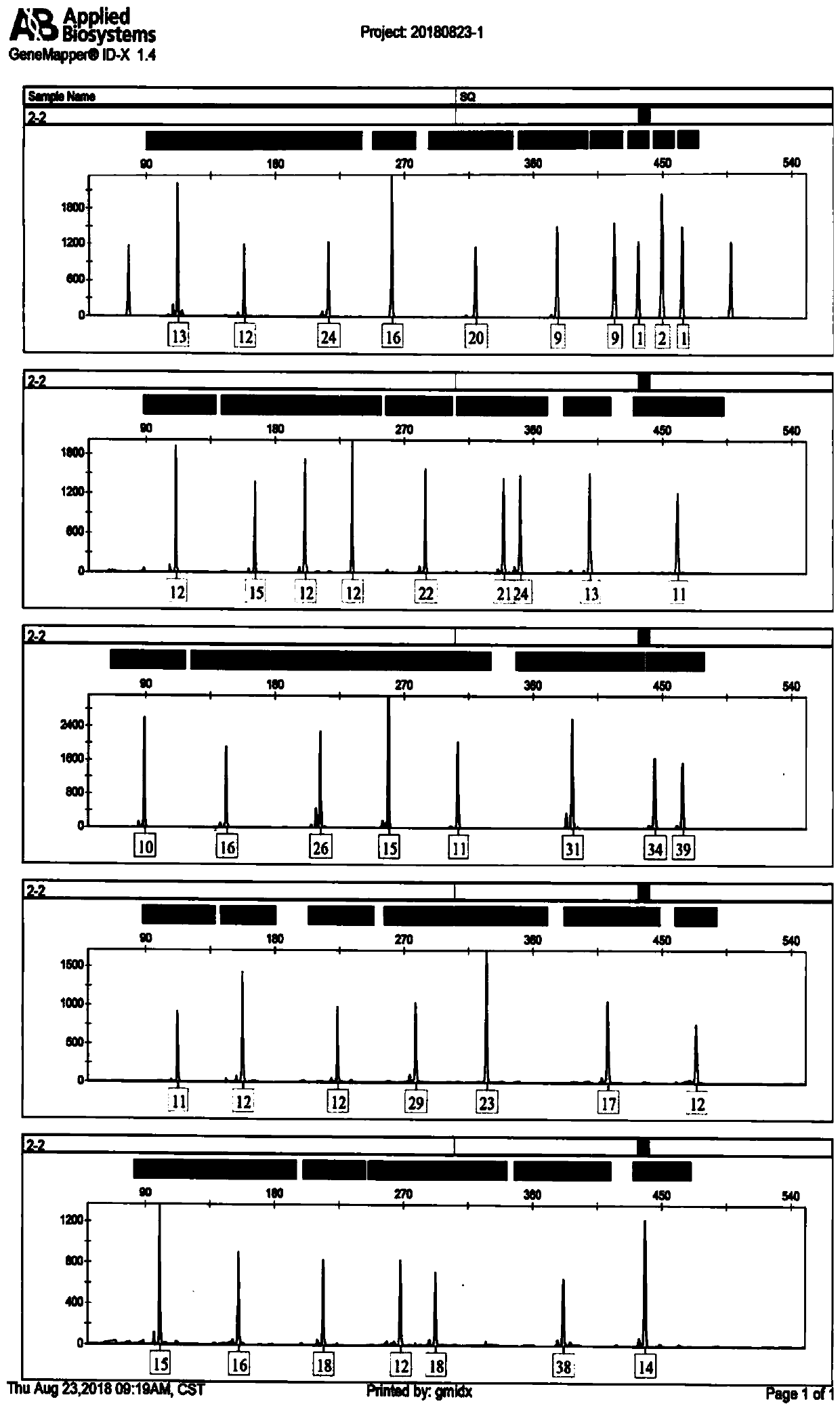 Composite amplification kit for 38 human Y chromosome loci and application thereof