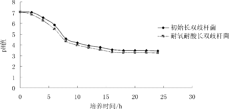 Oxygen-resistant acid-resistant Bifidobacterium longum