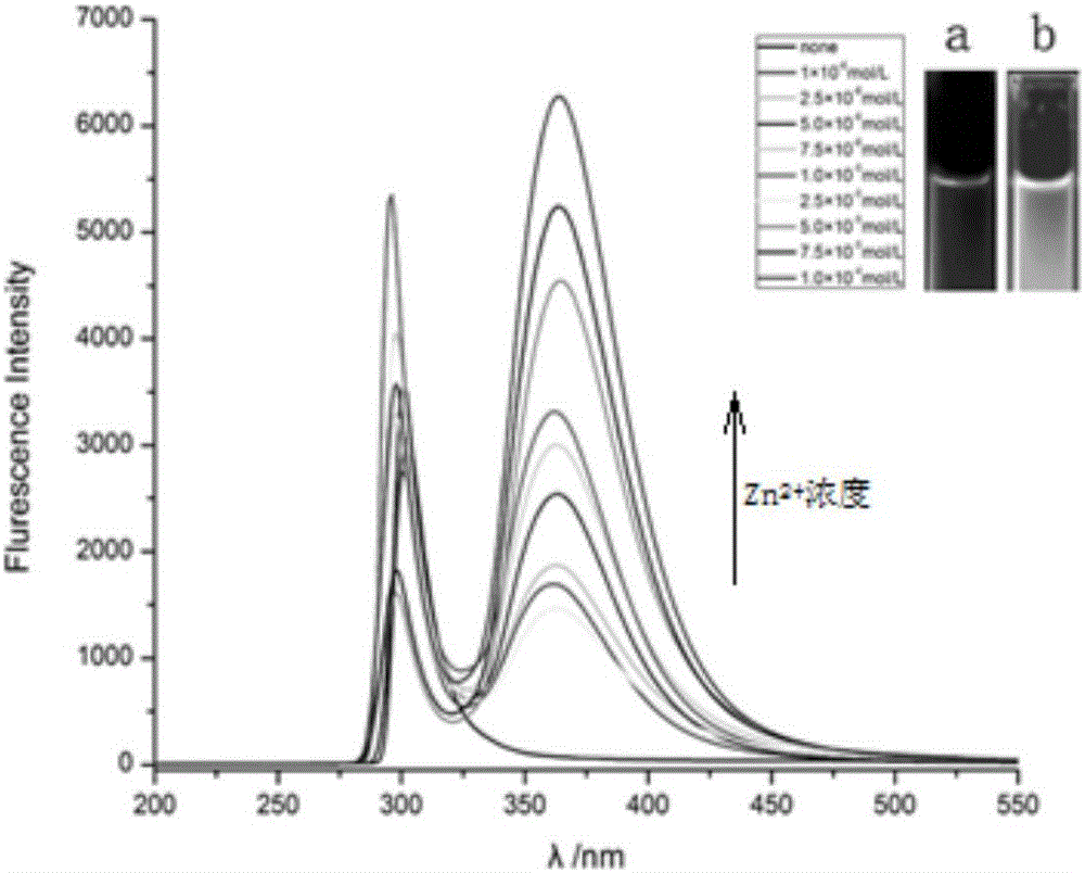 Zinc ion fluorescent probe, preparation method and method for detecting zinc ion content