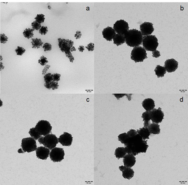 A pt-ni binary alloy loaded ceo  <sub>2</sub> Nanoparticles and methods for their preparation