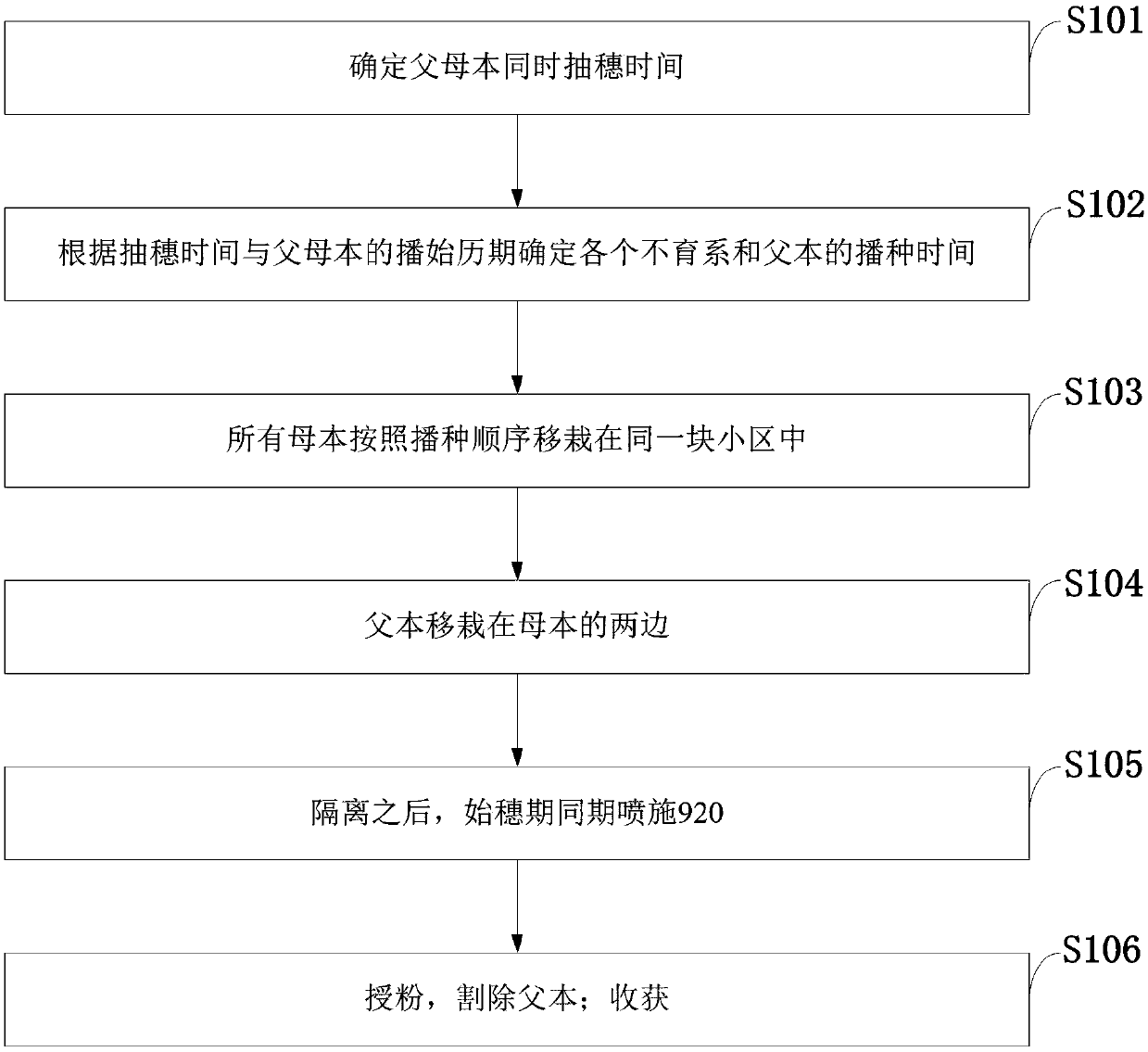 Method for massively preparing hybrid rice combination