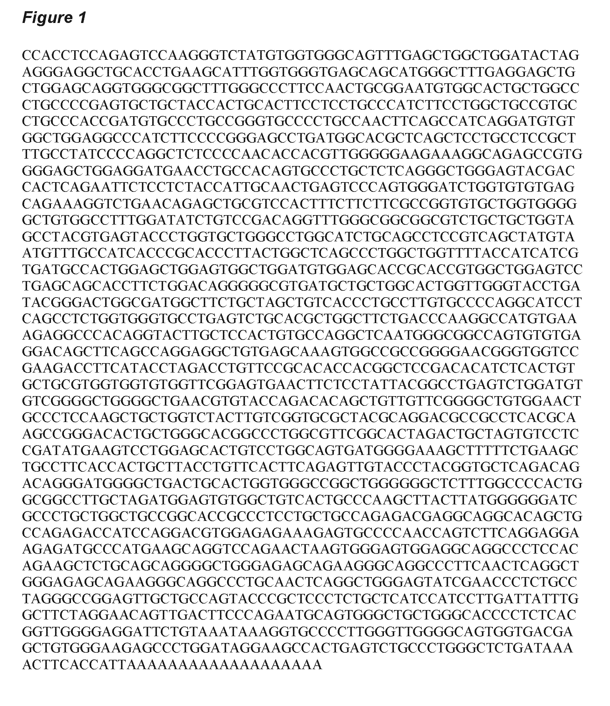 Modulators of slc22a7