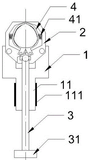 Agro-fruit picking device