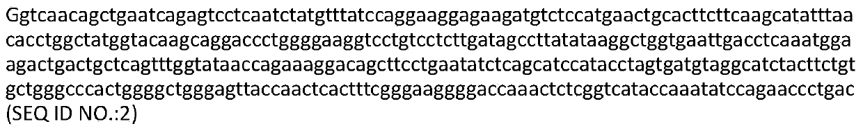 T cell receptor that recognizes prame antigen