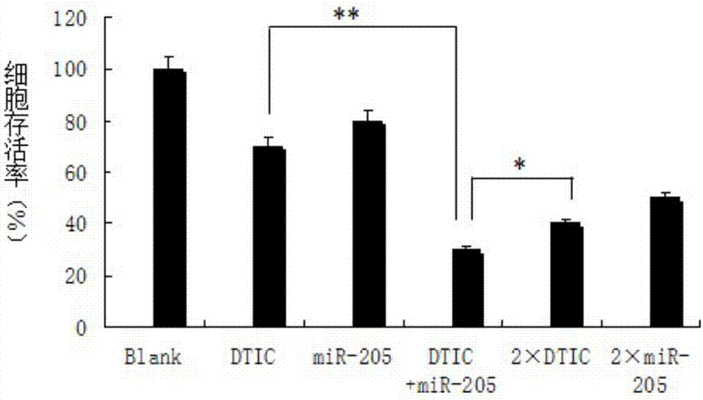 Targeted anti-malignant-melanoma DTIC (dacarbazine) and miR-205 co-carrying exosome as well as preparation method and application thereof