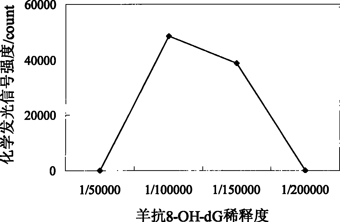 Method for evaluating protective action of Chinese herbal medicine to DNA oxidation damage