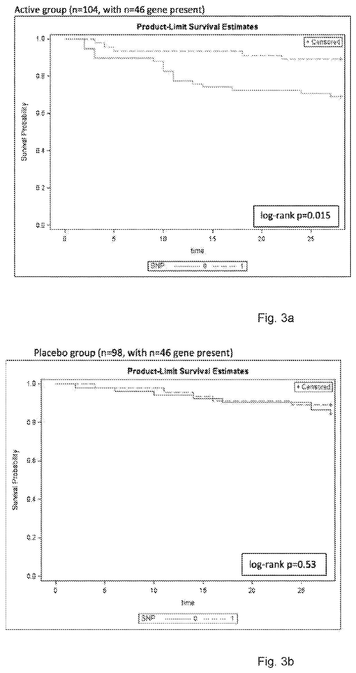 Method for determining patient's responsiveness to type 1 interferon treatment and use of type 1 interferon to treat patient having specified single nucleoide polymophism