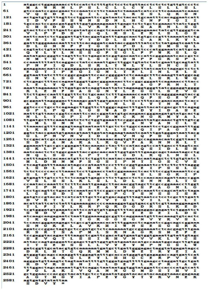 Preparation method of iku2 gene of peony purpura