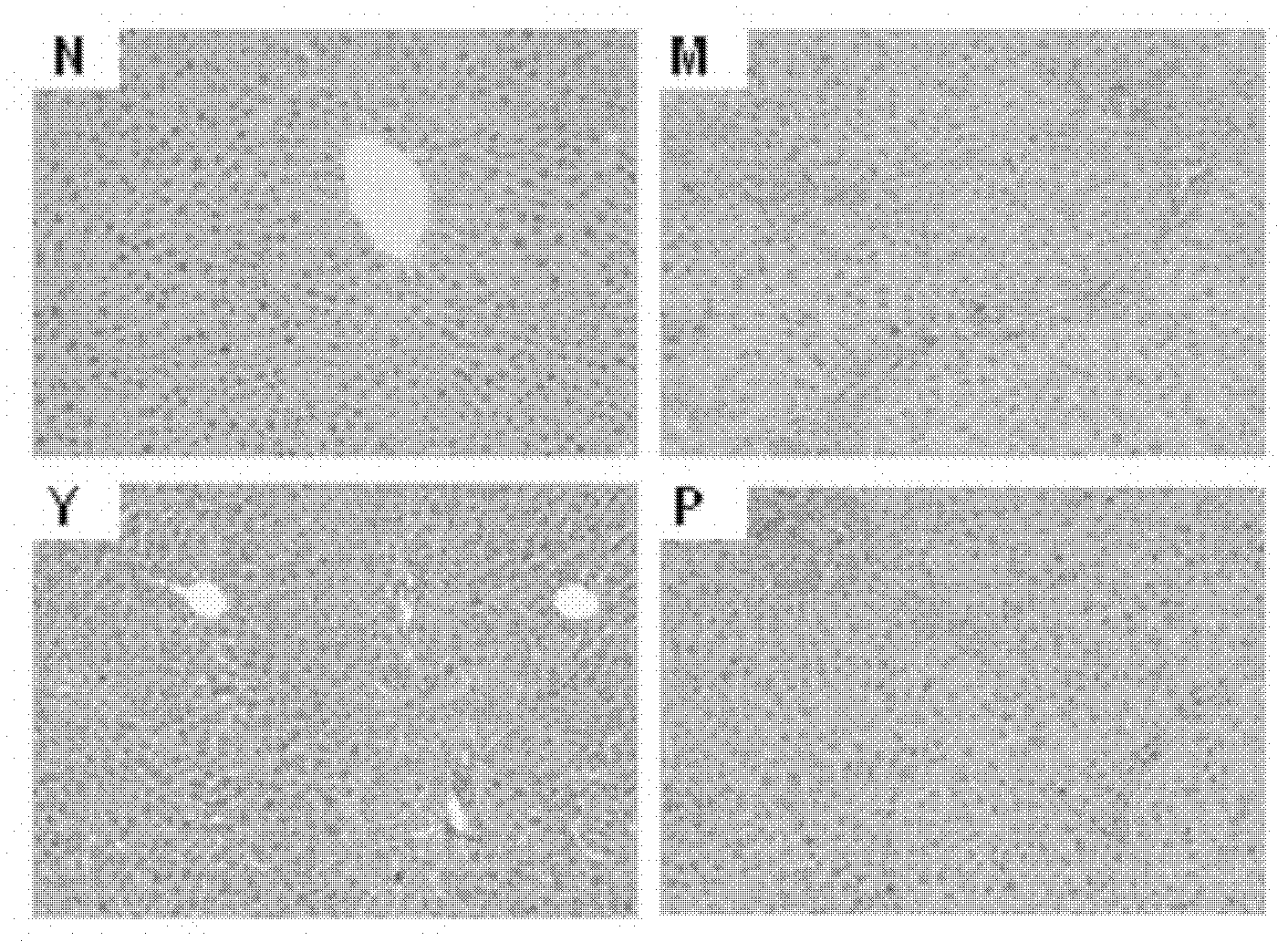 Chinese medicinal composition for resisting hepatic fibrosis and preparation method and use thereof