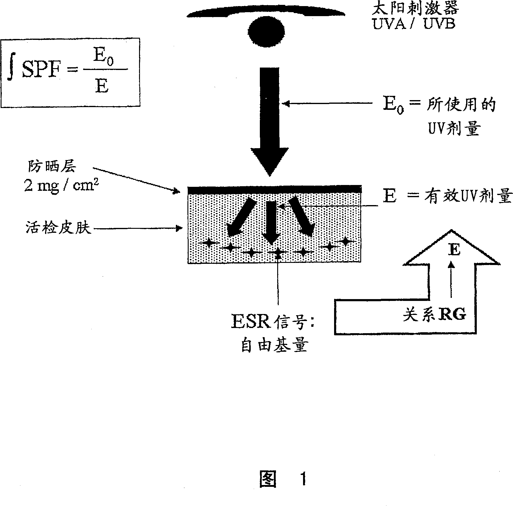 Method for determining an integral sun protection factor encompassing UVA and UVB radiation