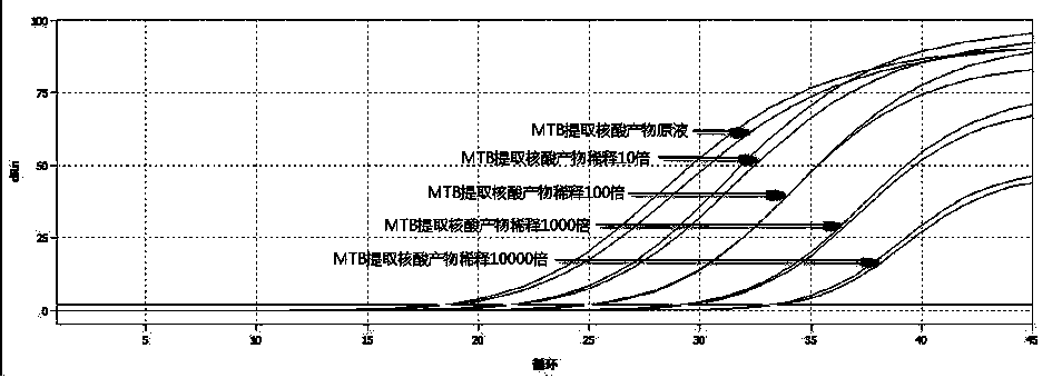 Sputum pretreatment method for quickly carrying out nucleic acid detection