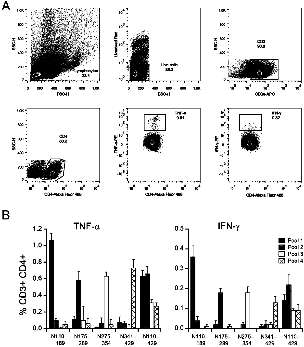 Hantavirus (HTV) long-peptide vaccine