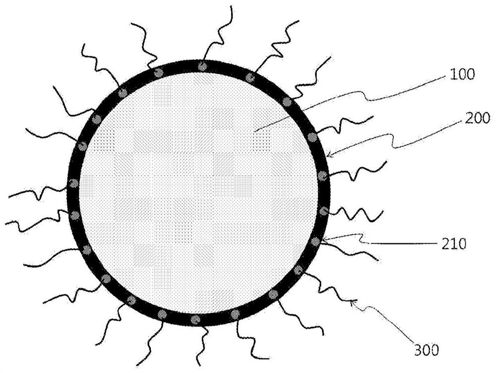 Anode active material and manufacturing method therefor