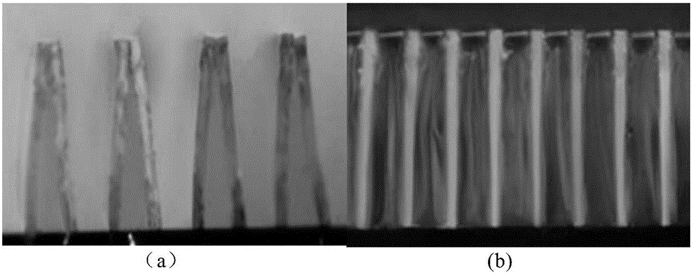 Method for fixing micro-nano structure in large aspect ratio on basis of gelation